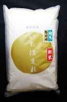 【令和3年産】－福井県産－　新ブランド米・コシヒカリを開発した福井の次世代の米 【特別栽培米】　 『いちほまれ』　 5kg